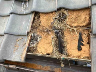 現場施工ブログ　軒先の漆喰を板金面戸にすることによりメンテナンスフリーに！